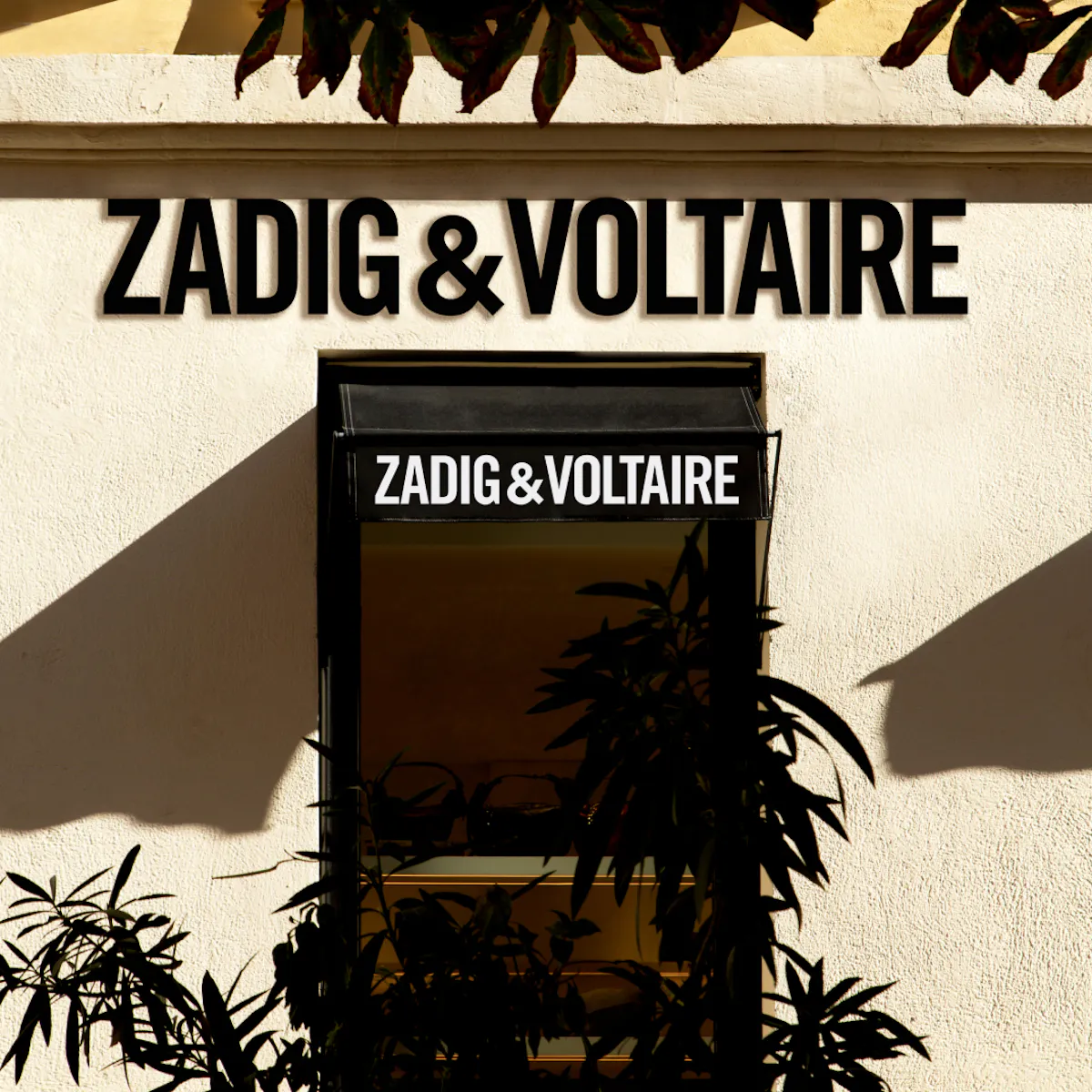 Facciata di una boutique Zadig&Voltaire: insegna nera sopra la porta, ombre di palme sulla parete chiara.